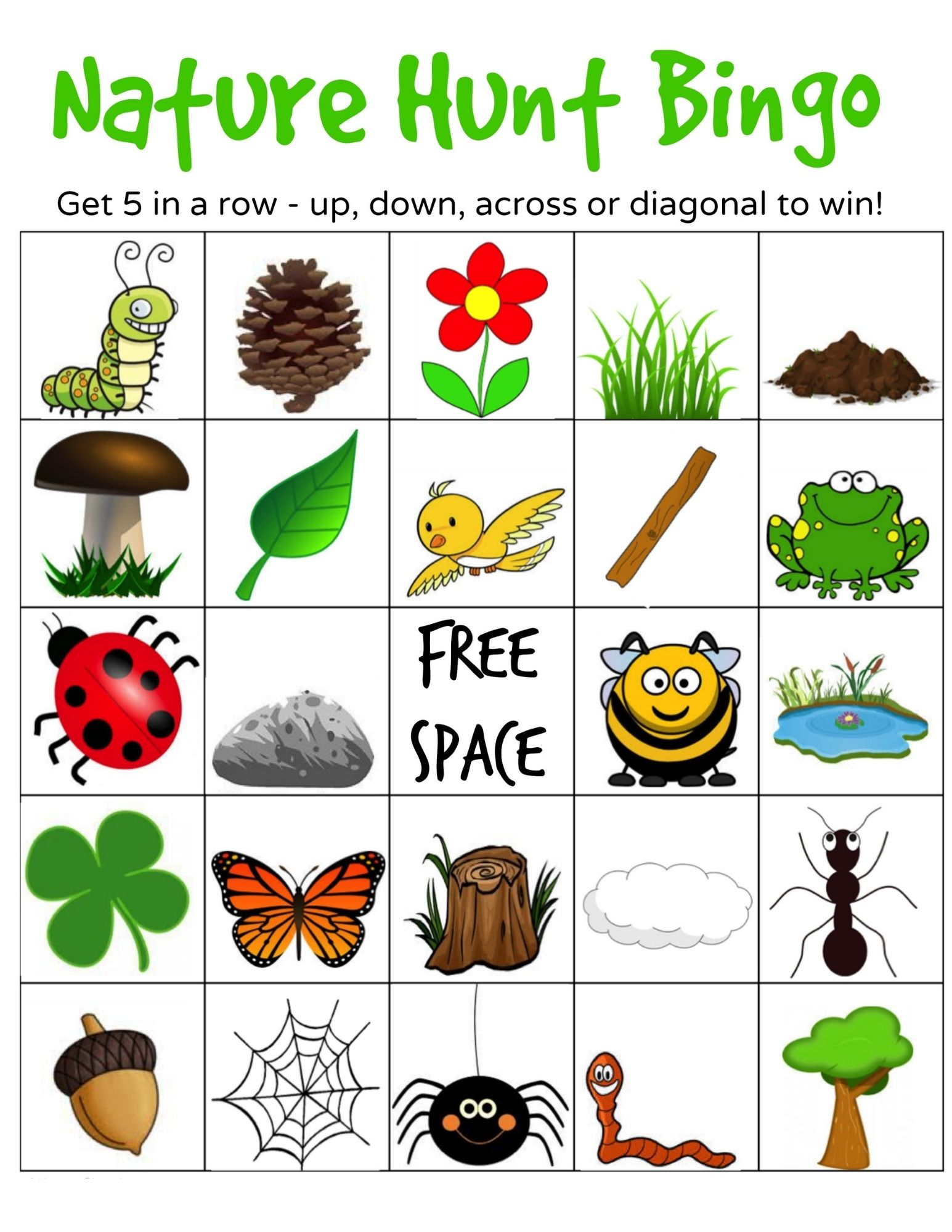 Nature Hunt BINGO
