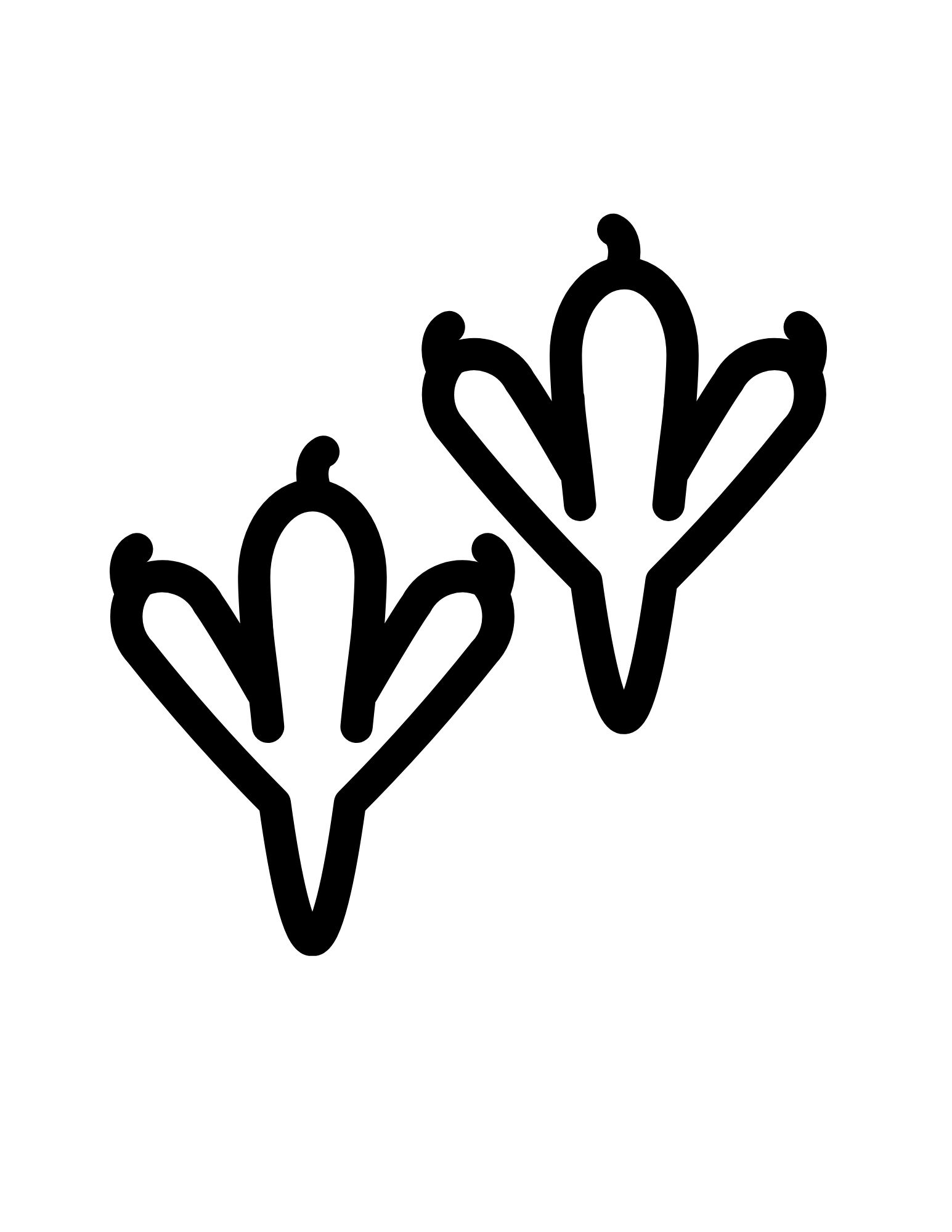Bird Claw Template